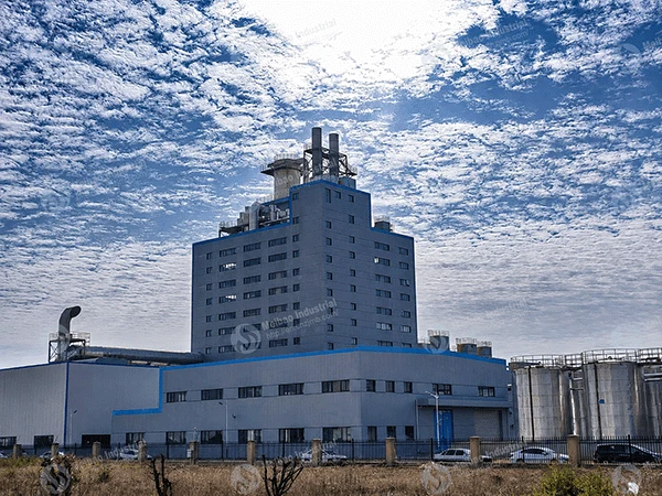 Reliable Industrial Equipment Partner for Production Line Projects Reliable Industrial Equipment Partner for Production Line Projects